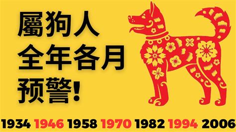 2023 狗年運程|属狗的人2023年全年运程运势